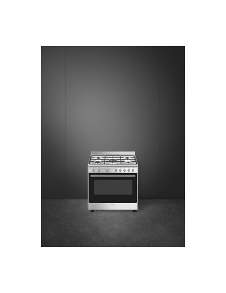 Cocina de Gas Placa