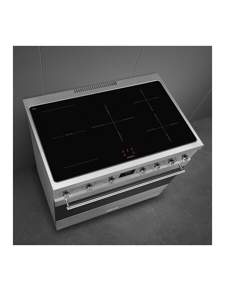 Cocina de Inducción Placa