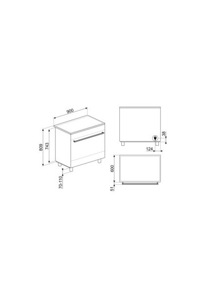 Cocina de Inducción Placa