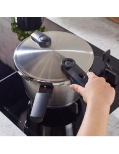 VITAQUICK PREMIUM 2025 10.0 L CON CESTILLO