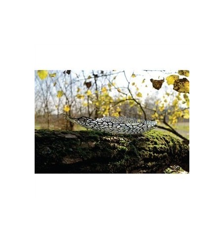 "OPUS" CENTRO DE MESA A/INOX 18/10 D. GUIDO VENTURINI