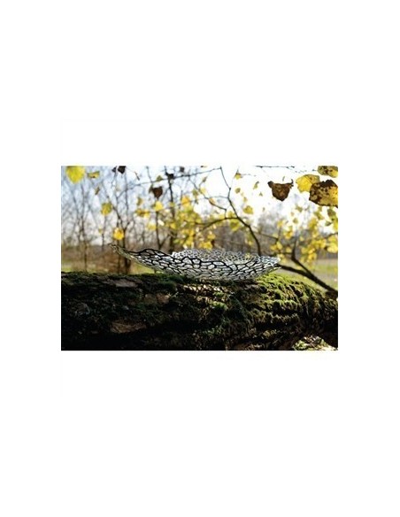 "OPUS" CENTRO DE MESA A/INOX 18/10 D. GUIDO VENTURINI