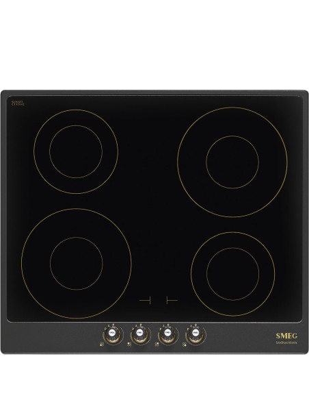 Encimera de cocción Inducción